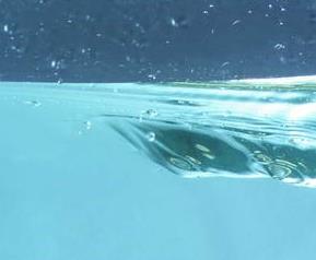 萝卜可预防癌症吗 萝卜可预防癌症吗百度百科