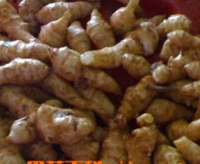 洋姜的营养价值（洋姜的营养价值与功效）