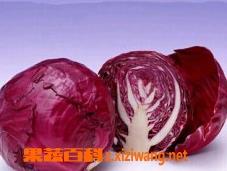 紫甘蓝怎么炒好吃（紫甘蓝怎么炒好吃家庭做法）