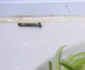 怎样用白萝卜做咸菜 怎样用白萝卜做咸菜好吃