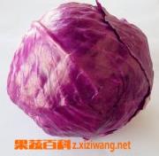 甘蓝的营养价值(甘蓝的营养价值及禁忌)
