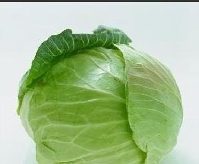 卷心菜营养价值和功效作用（卷心菜营养价值和功效作用与禁忌）