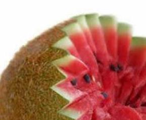 十种有毒果蔬,哪些水果蔬菜有毒(哪几种水果有毒)