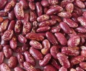 怎么挑选芸豆（怎么挑选芸豆好吃）