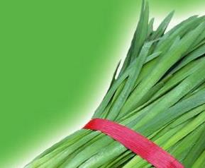 韭菜贮存和营养成份（韭菜贮存和营养成份有关吗）