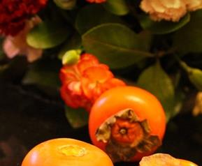 什么人不能吃柿子(什么人不能吃柿子椒)