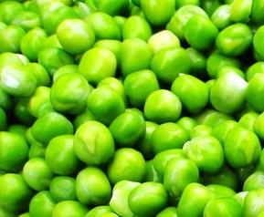 豌豆的种类和图片(豌豆的种类图片大全)