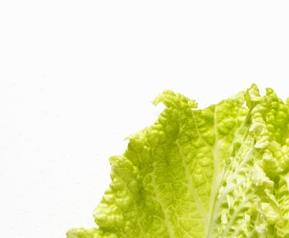 白菜搭配什么吃才更营养美味 白菜跟什么菜搭配好吃