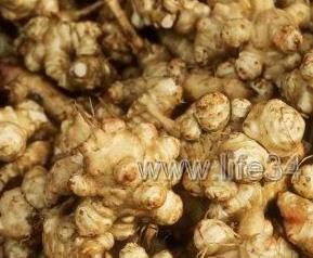 洋姜的腌制方法 洋姜的腌制方法怎样腌制洋姜好吃