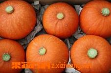 金南瓜的功效(金瓜是南瓜的一种吗?)