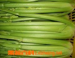 西芹的营养介值(西芹的营养成份)