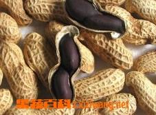 黑花生的营养价值有哪些(黑花生有什么营养价值)
