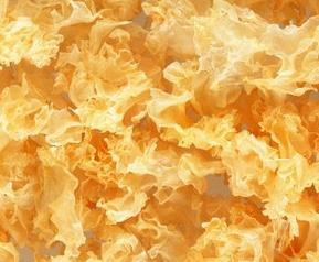 吃雪耳会怎样（雪耳哪些人不能吃）