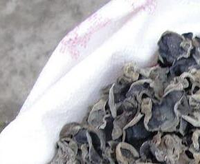 木耳功效 木耳功效与作用营养价值