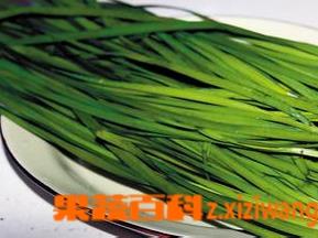 韭菜的营养价值 韭菜的营养价值和药用价值