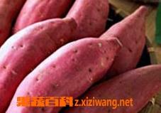 红薯不能和什么一起吃 红薯不能和什么一起吃香哈网手机版