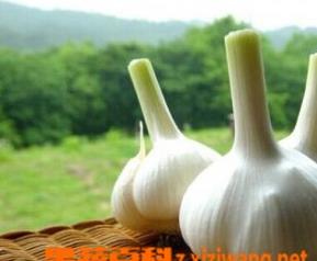 新鲜大蒜与盐大蒜那个营养好 大蒜跟盐有什么作用