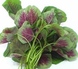 苋菜的贮藏和烹煮 苋菜的贮藏和烹煮的区别