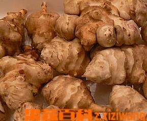 如何腌洋姜（如何腌洋姜更好吃）