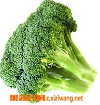 西兰花怎么做好吃(西兰花怎么做好吃又有营养)