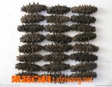 海参的营养价值（海参的营养价值有哪些）