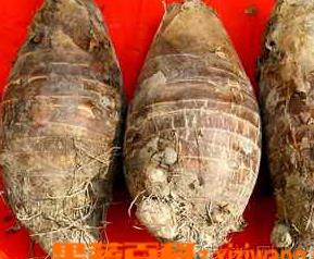 芋头的营养功效和吃法 芋头的吃法与功效