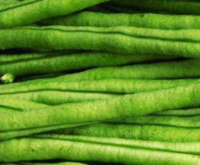 豇豆的食疗作用和营养分析 豇豆的食疗作用和营养分析视频