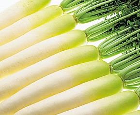 吃萝卜的注意事项（吃萝卜的注意事项和禁忌）