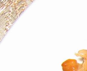 洋姜怎么腌制好吃 洋姜怎么腌制好吃视频