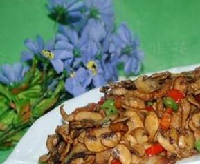 平菇的药用（平菇的药用价值MV）