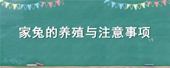 家兔的养殖与注意事项（养殖家兔要注意事项）