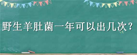 野生羊肚菌一年可以出几次（羊肚菌一年可以种几次）