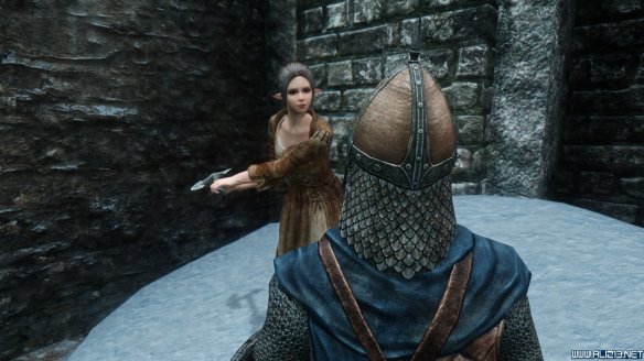 《上古卷轴5：天际》第三届龙裔参赛作品 混血精灵莫妮卡赏析攻略