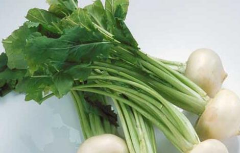 萝卜的作用与功效（白萝卜的作用与功效与作用）