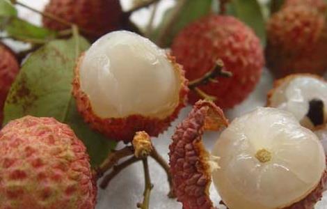 荔枝的功效与作用（荔枝干的功效与作用及食用方法）