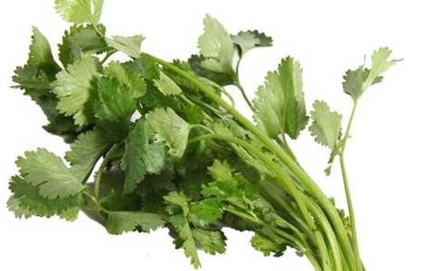 香菜的营养价值（小茴香菜的营养价值）