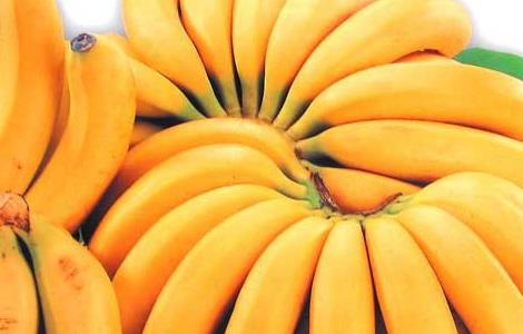 香蕉和芭蕉的区别 香蕉和芭蕉的区别在哪里