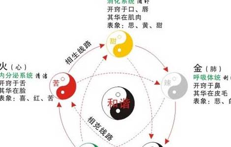 什么是五行养生？