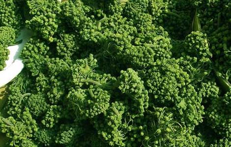 三七花的吃法有哪些（三七花有什么吃法）