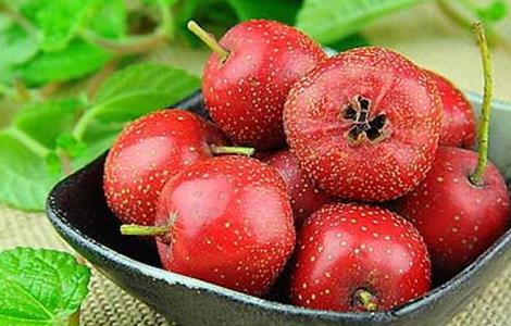 冬季养生减肥食物大全 冬季养生减肥食物大全图片