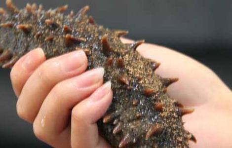 干海参怎么保存? 干海参怎么保存需要放冰箱吗