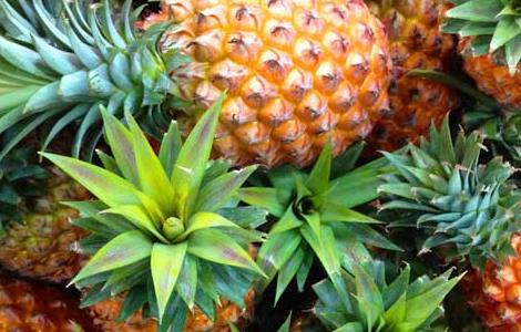 吃菠萝的好处和坏处(儿童吃菠萝的好处和坏处)