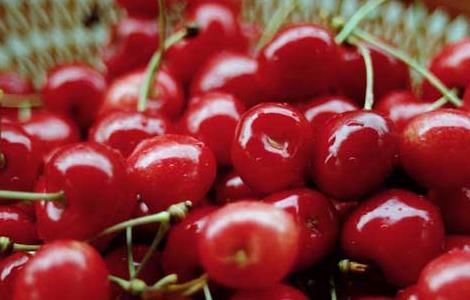 车厘子和樱桃的区别