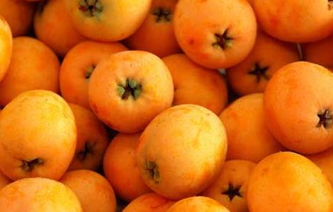 枇杷的营养价值 枇杷的营养价值及功效