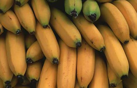 香蕉皮能吃吗 香蕉皮能吃吗有营养吗