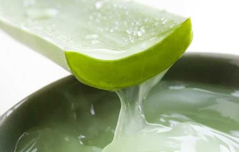 芦荟涂在脸上有什么作用（芦荟涂在脸上有什么作用和功效）