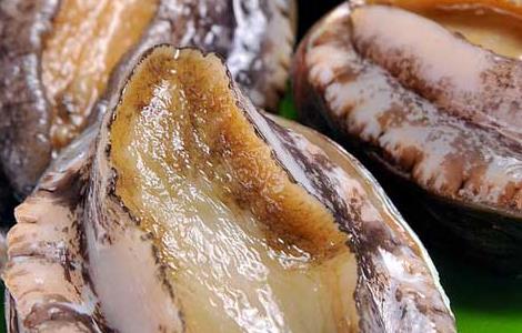 干鲍鱼的泡发方法（干鲍鱼的泡发方法视频）