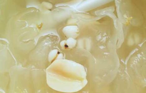 薏苡仁的食用方法（薏苡仁的食用方法和用量）