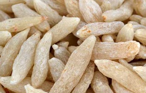 麦冬茶的做法（麦冬茶饮配方大全）