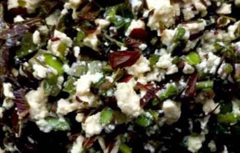 香椿拌豆腐的做法大全（香椿拌豆腐的做法大全视频）